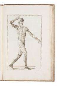[SCIENCE & MEDICINE]. EUSTACHI, Bartolomeo (d. 1574). Tabulae Anatomicae Clarissimi viri Bartholomaei Eustachii . Rome: Laurentii & Thoma Pagliarini, 1728