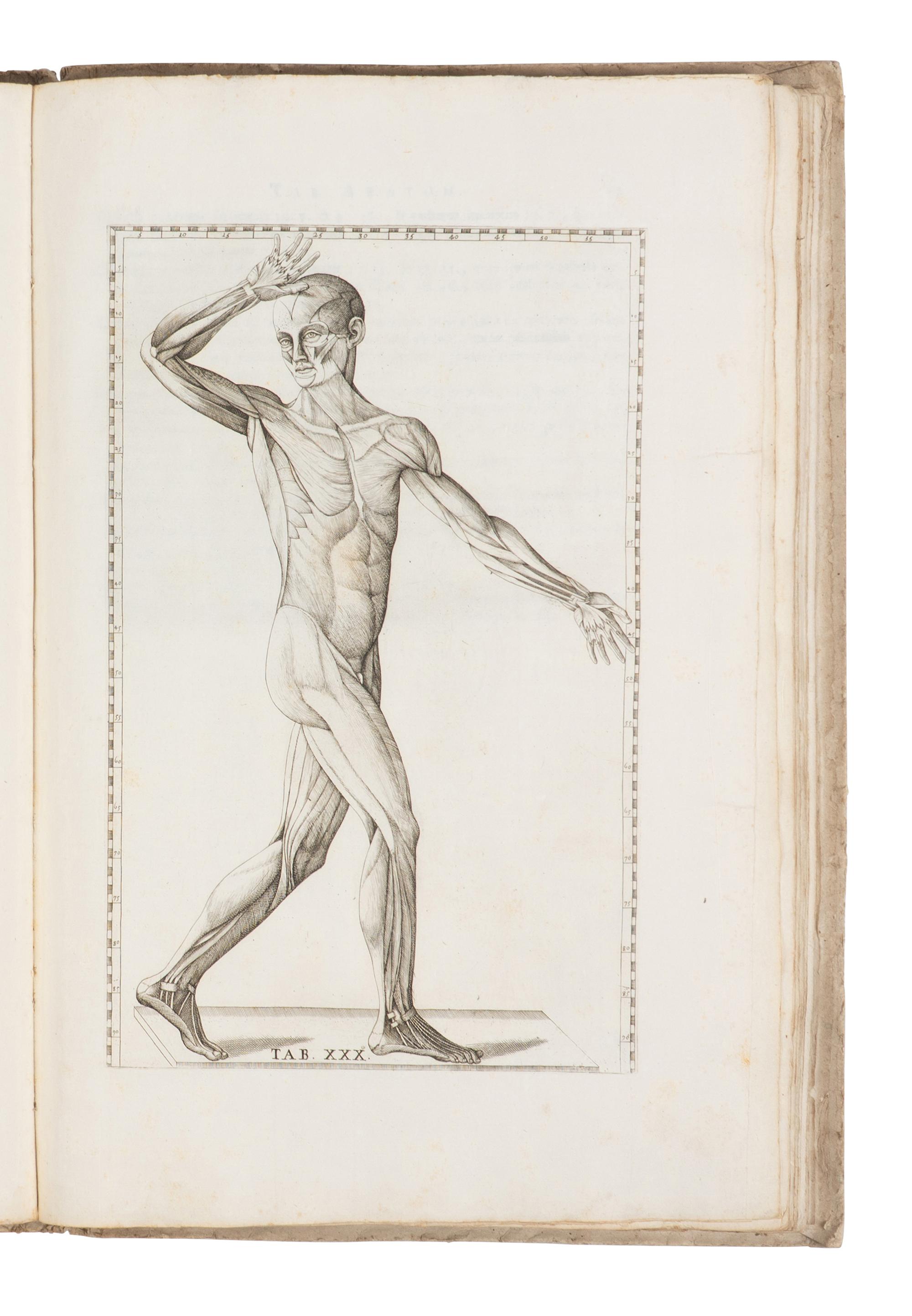 [SCIENCE & MEDICINE]. EUSTACHI, Bartolomeo (d. 1574). Tabulae Anatomicae Clarissimi viri Bartholomaei Eustachii . Rome: Laurentii & Thoma Pagliarini, 1728