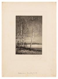 A Group of Seven Prints