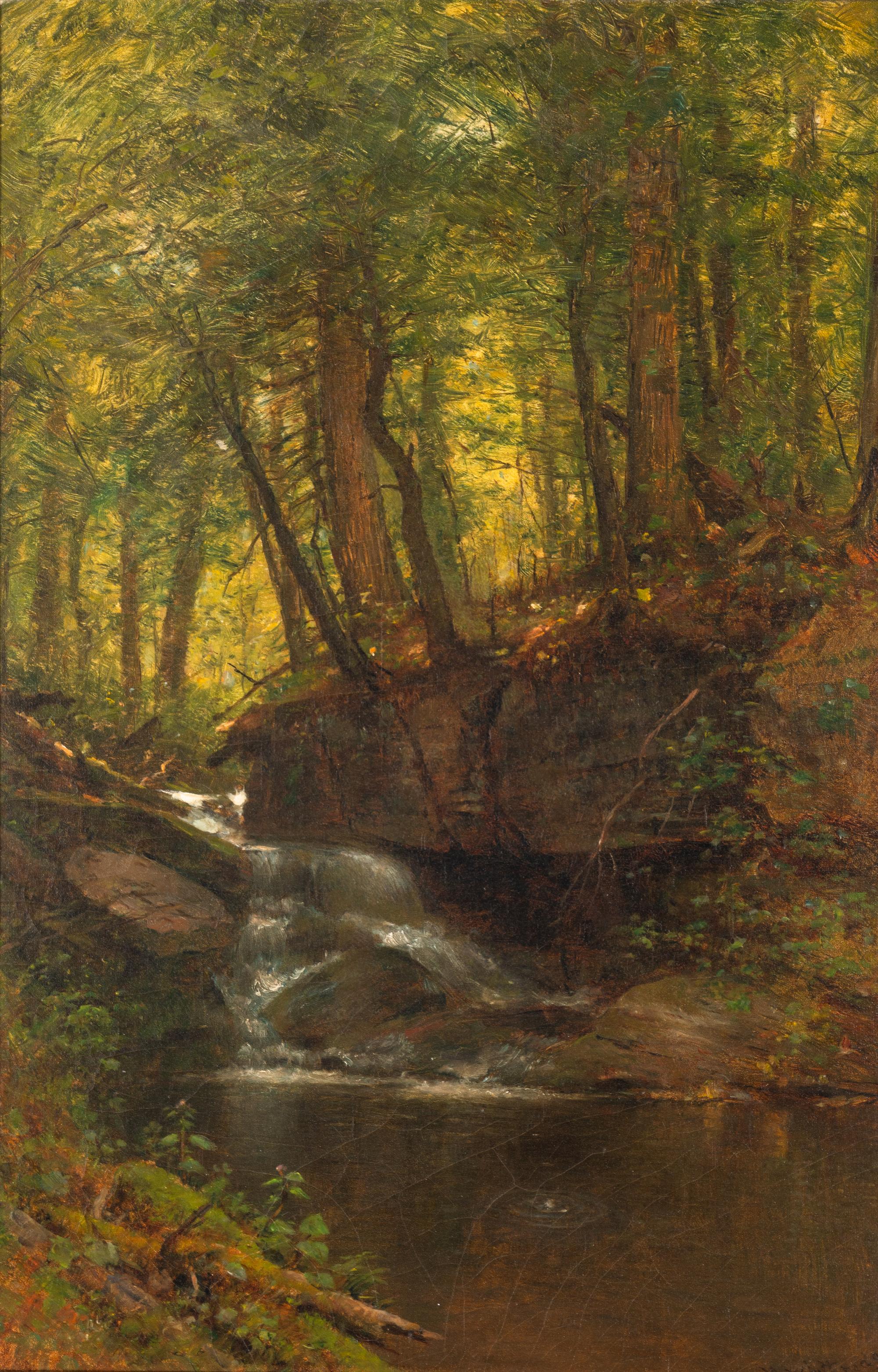 Brook in the Forest