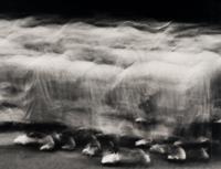 Untitled #884 P-97 (Stream Monk) , 1997