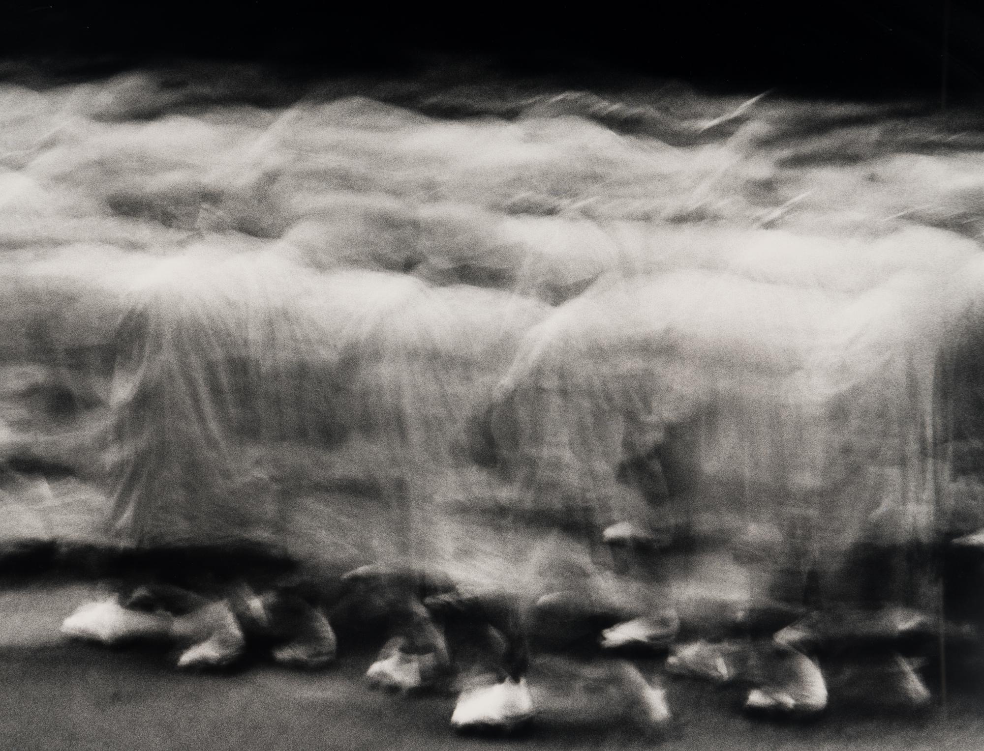 Untitled #884 P-97 (Stream Monk) , 1997