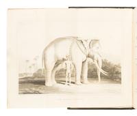 CRAWFURD, John (1783-1868). Journal of an Embassy from the Governor-General of India to the Courts of Siam and Cochin China. [And:] ... To the Court of Ava . London: Henry Colburn and Richard Bentley, 1830, 1834.
