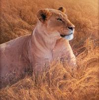 African Queen