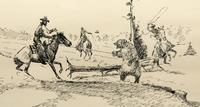 Cowboys and Bear