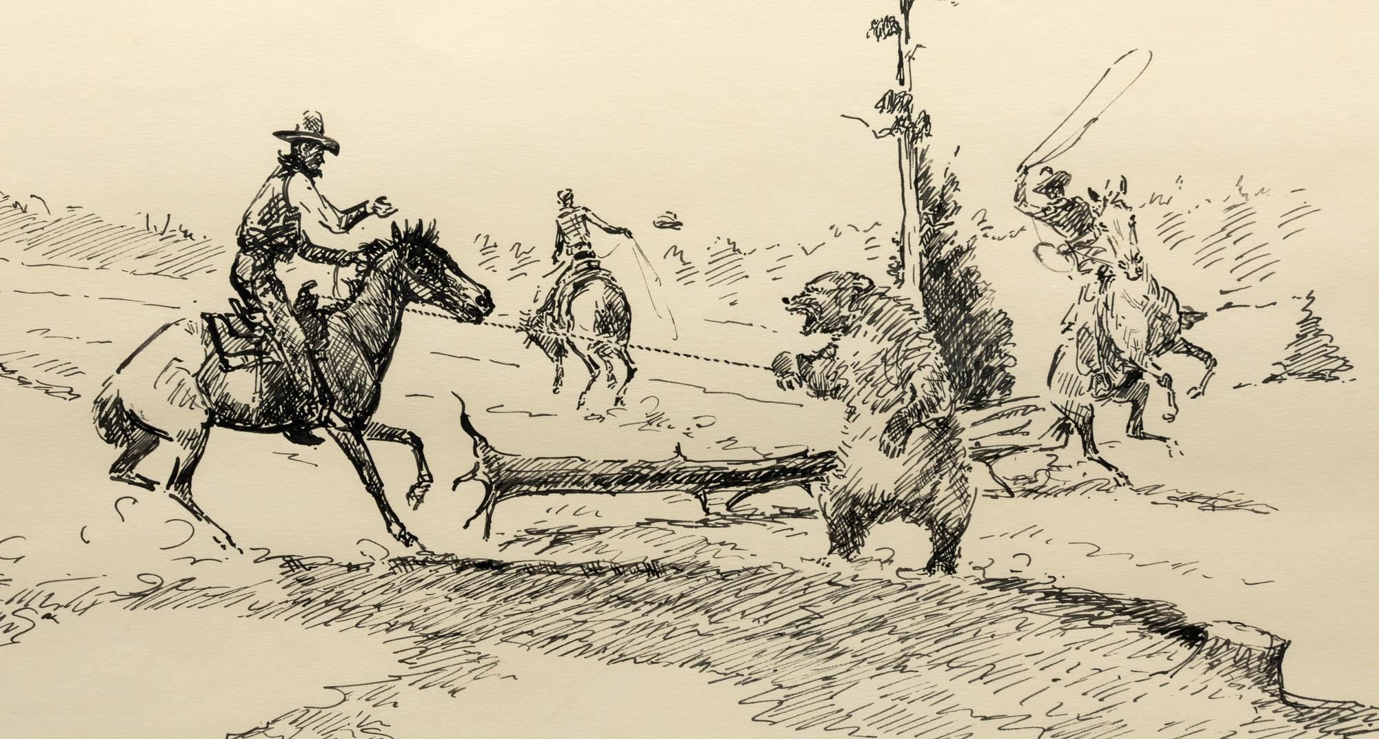 Cowboys and Bear