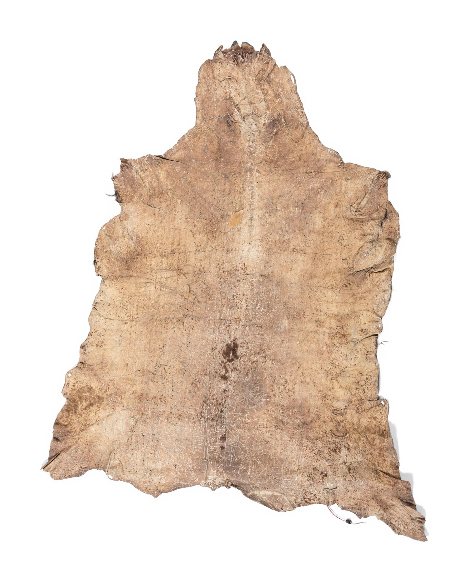 Plains Quilled Buffalo Hide Robe