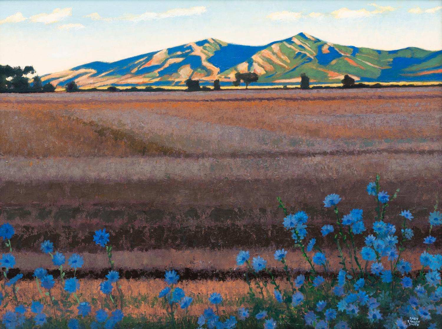 View to Travers Mountain
