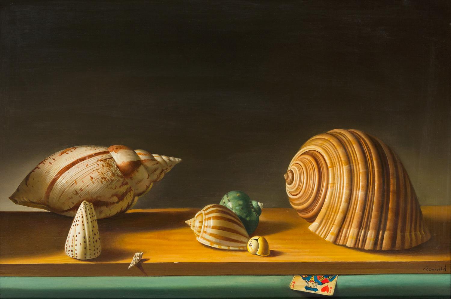 Fernand Renard, (French, b. 1912), Coquillages