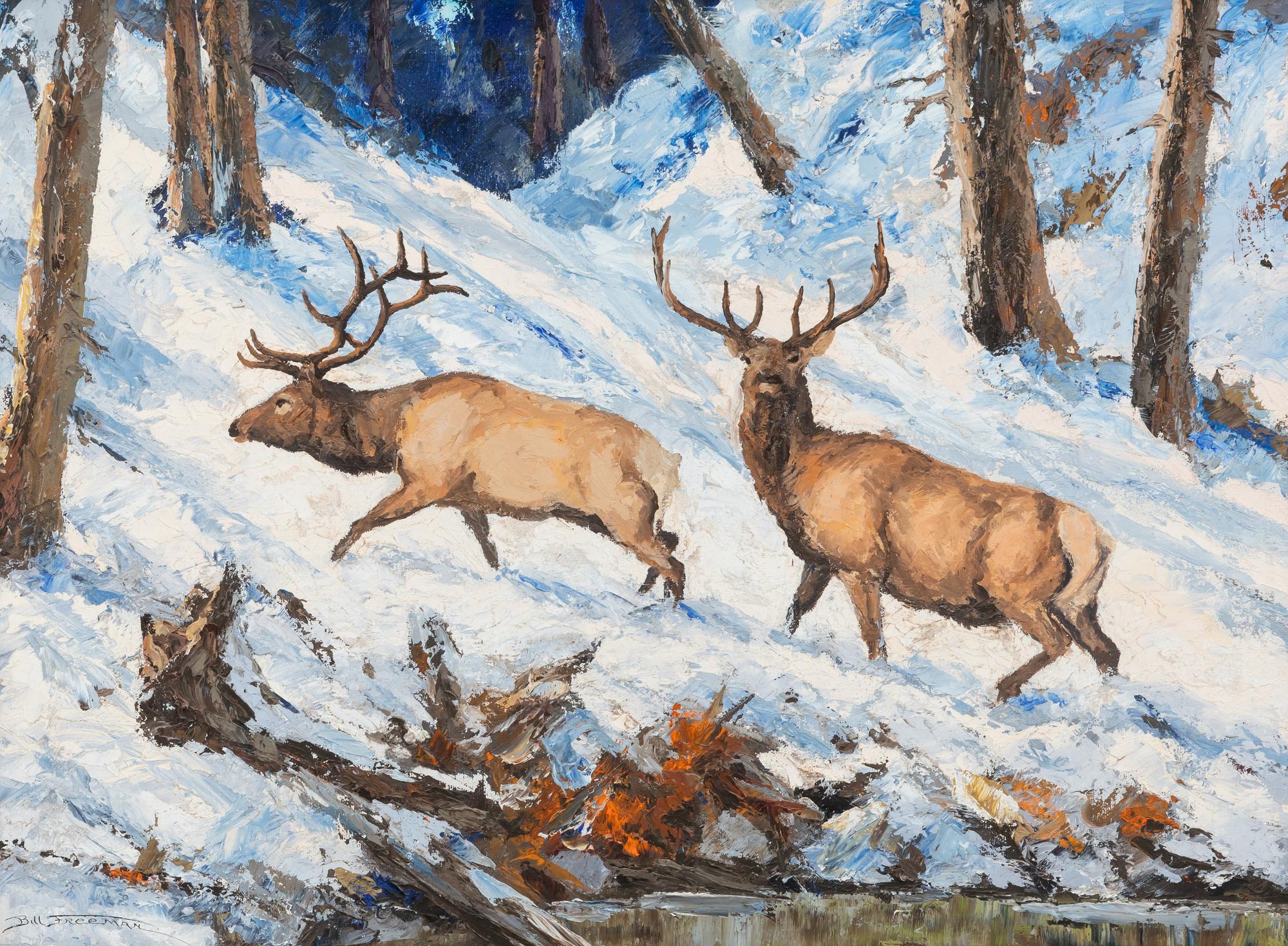 Bull Elks