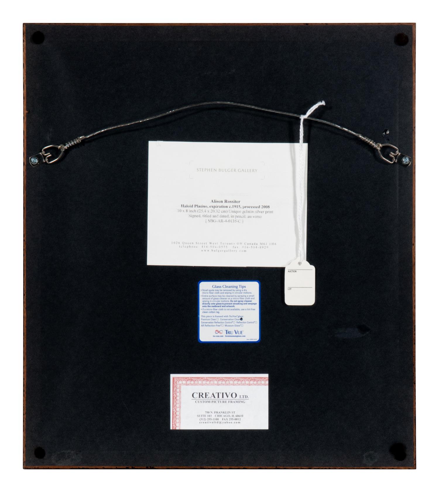 Haloid Platino , expiration ca.1915; processed 2008