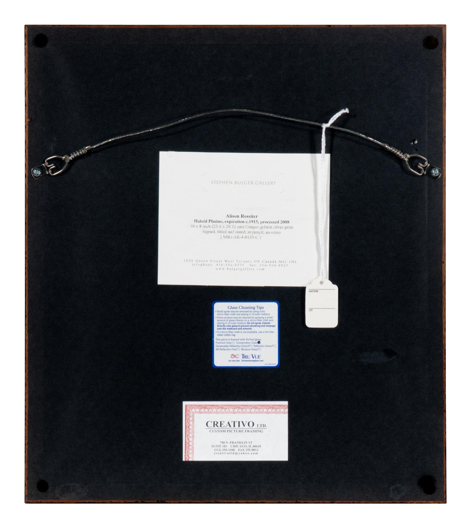 Haloid Platino , expiration ca.1915; processed 2008