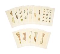 Thirteen Hand Colored Prints Pertaining to Ancient Glass