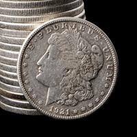 A Group of Twenty Morgan $1 Coins