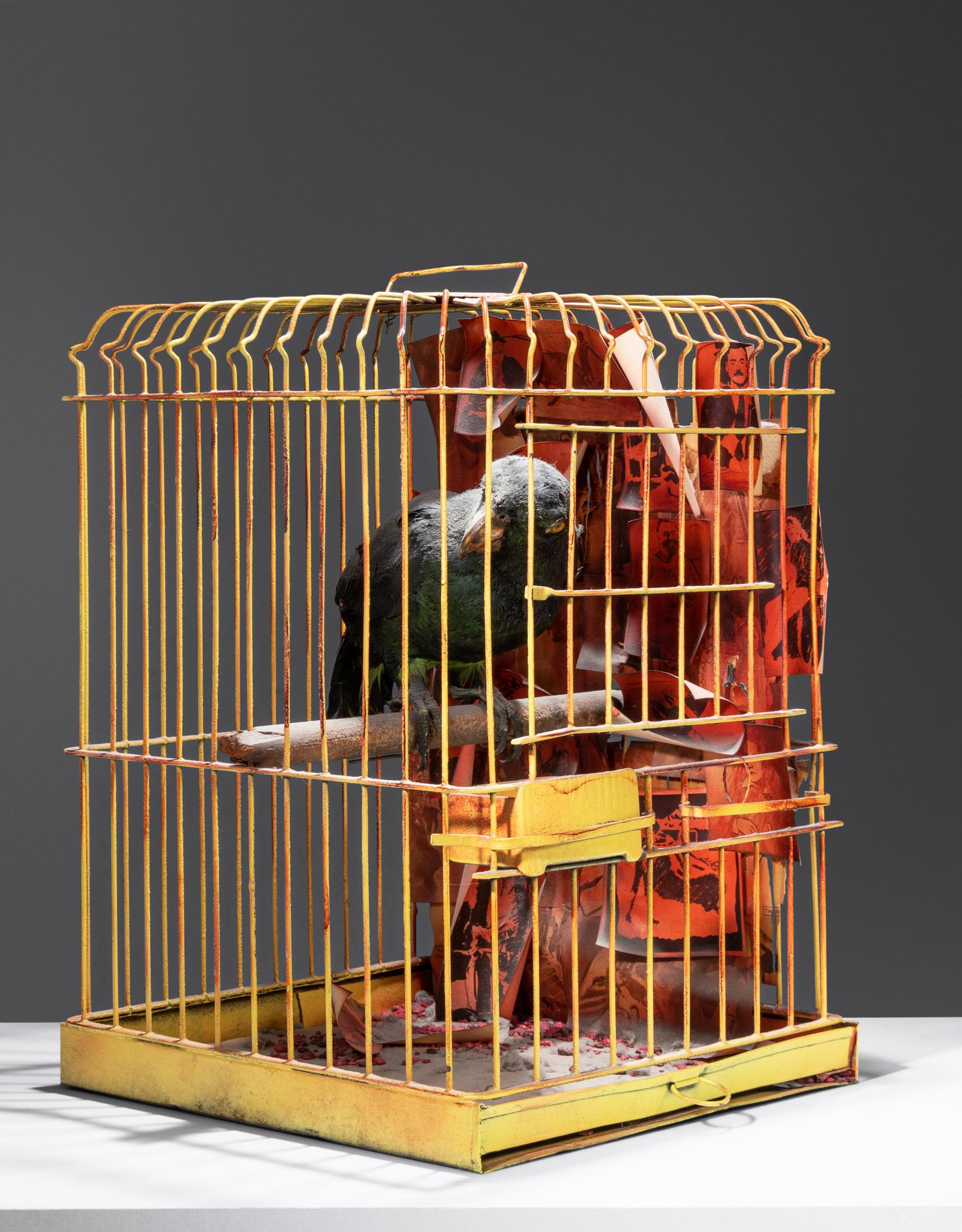 The Parrot Who Met Papa, 1972