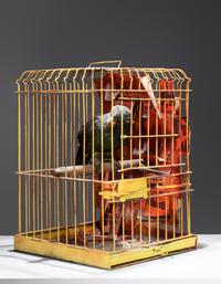 The Parrot Who Met Papa, 1972