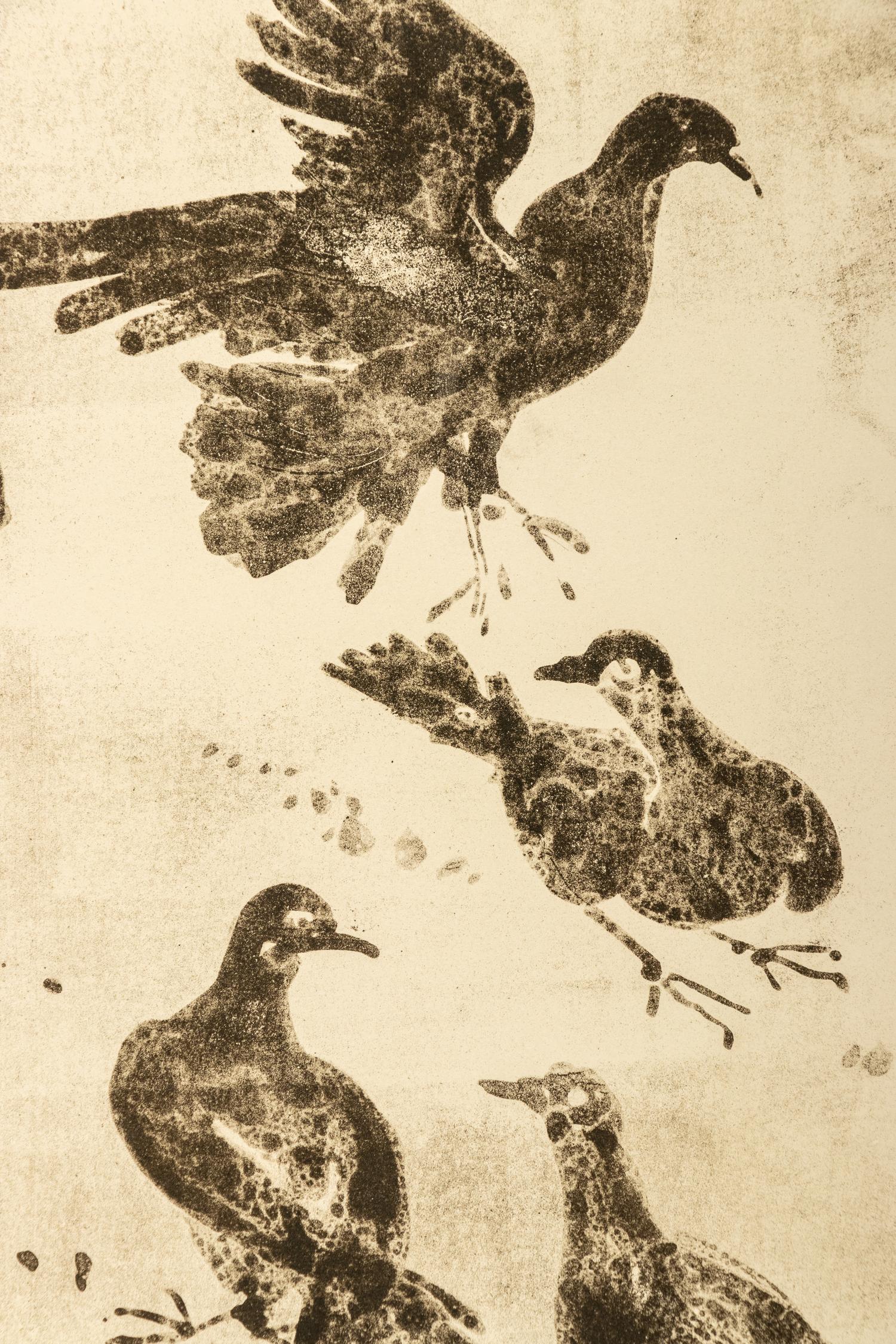 The Pigeons , 1955 and Bestiare , 1956 (a pair of works)