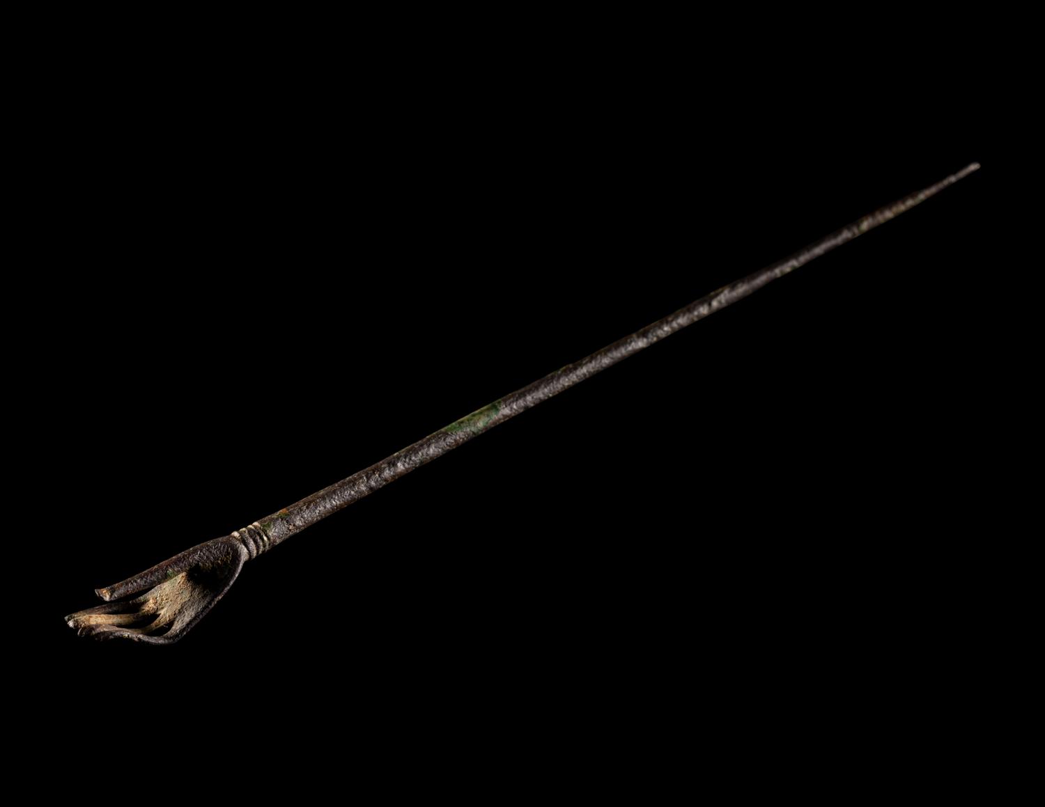 A Roman Bronze Asparagus and a Roman Bronze Hand Pin