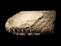 A Roman Marble Architectural Fragment
