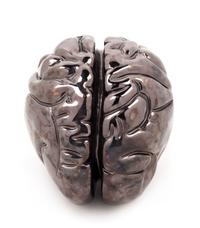 Katy Schimert, (American, b. 1963), Brain, 2001