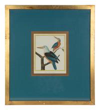 Four Bird Prints after Francoise Martinet's Histoire Naturelle Des Oiseaux — 20TH CENTURY