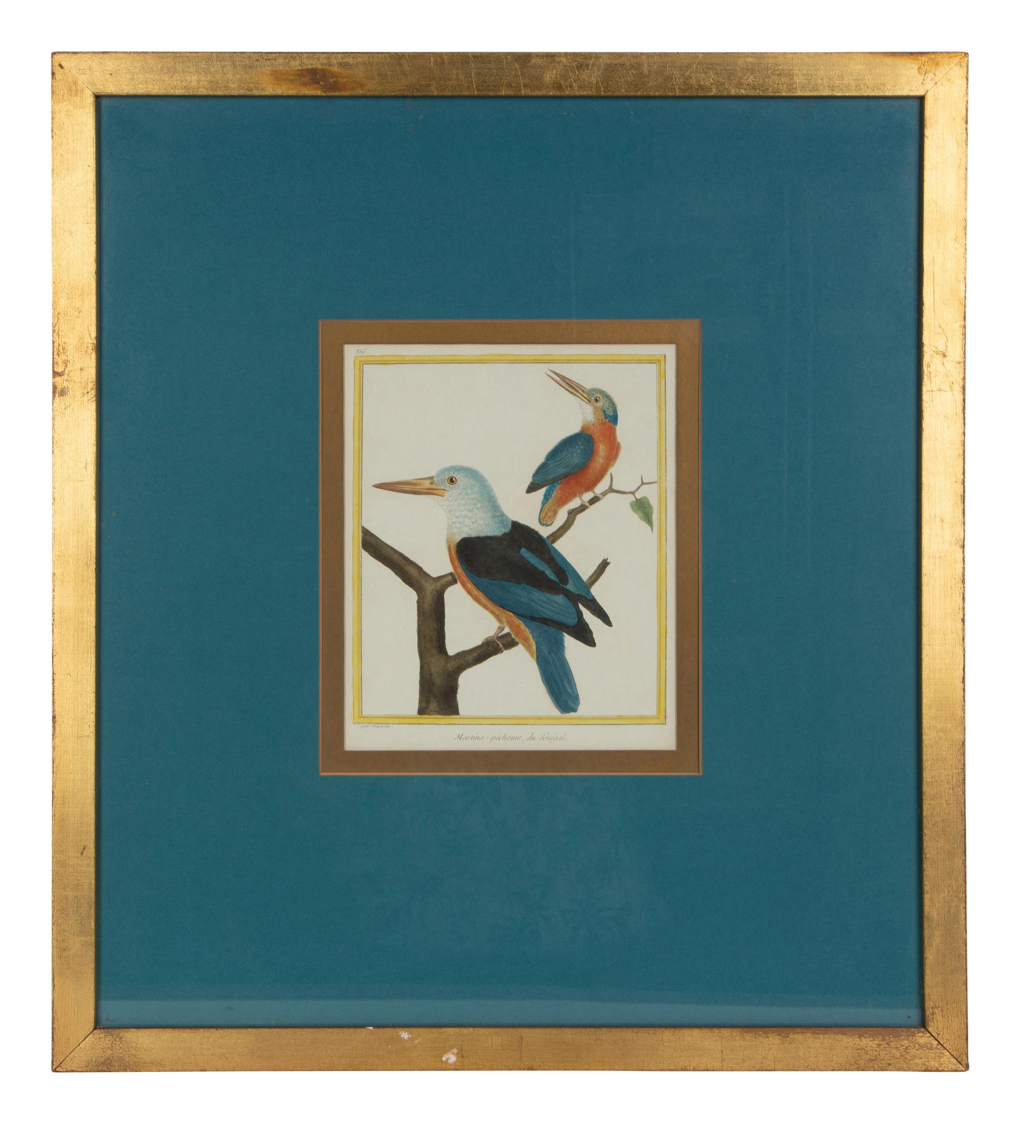 Four Bird Prints after Francoise Martinet's Histoire Naturelle Des Oiseaux — 20TH CENTURY