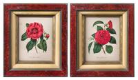 A Pair of Lithographs