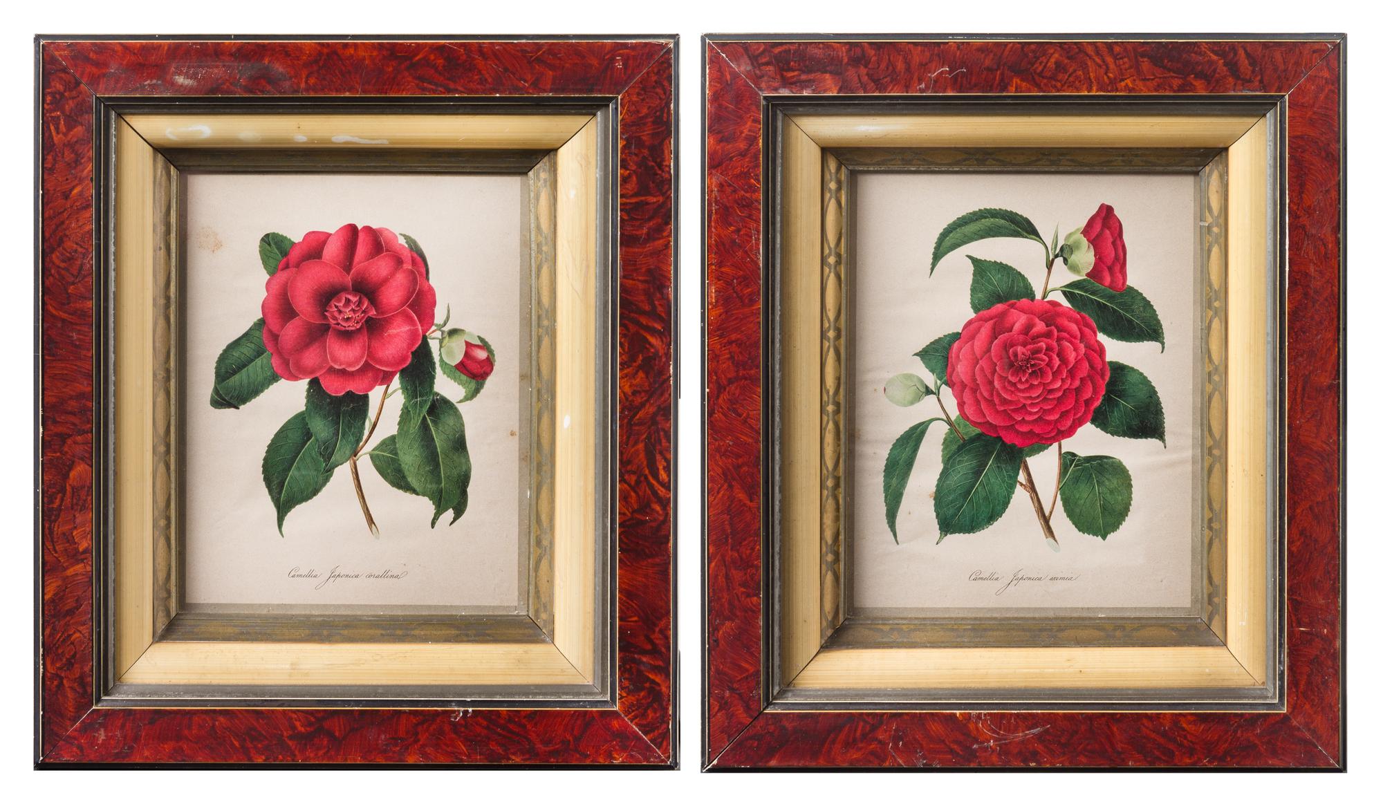 A Pair of Lithographs