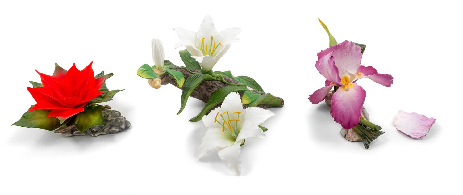 A Group of Three Boehm Porcelain Flowers