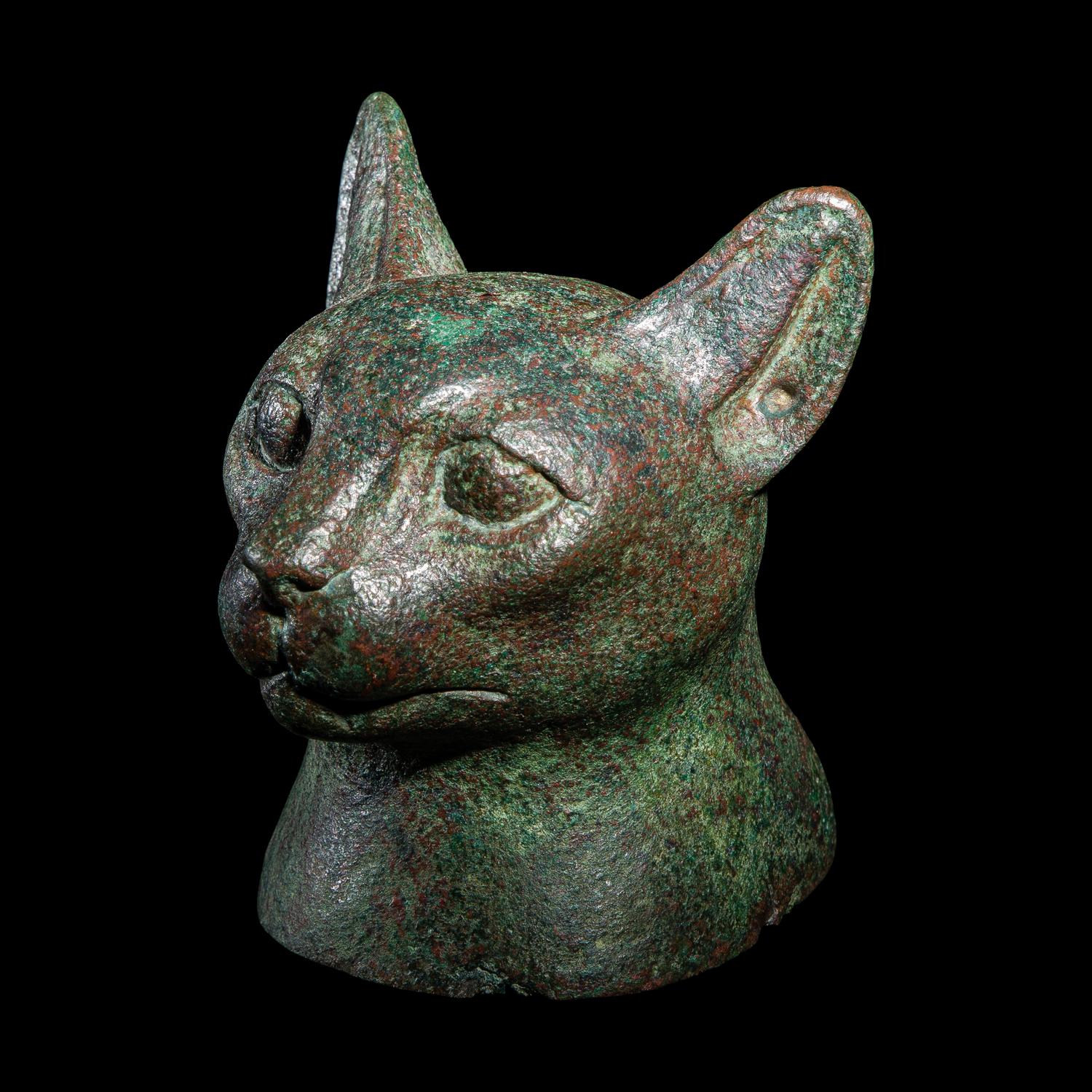 An Egyptian Bronze Bust of a Cat