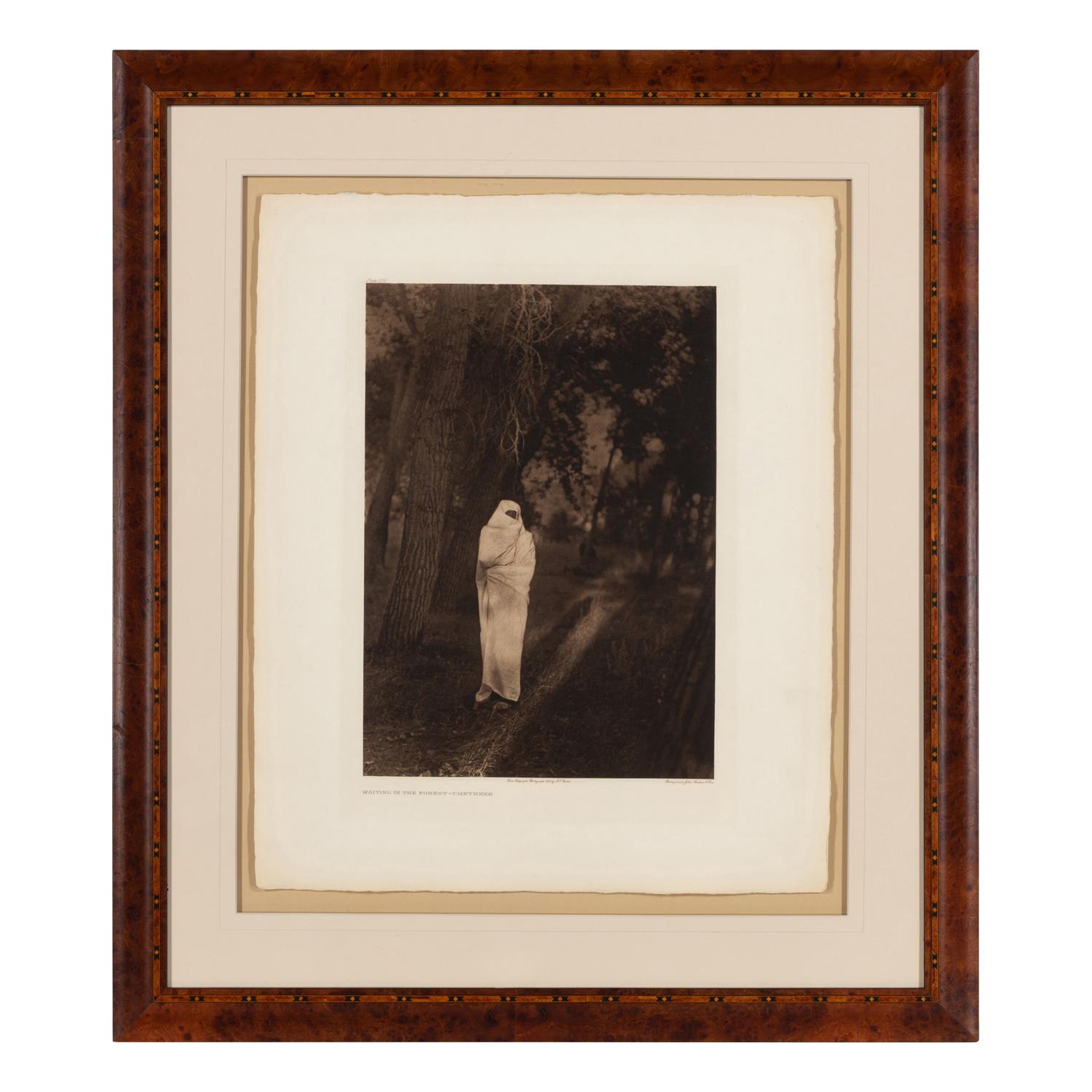 Waiting in the Forest – Cheyenne, Plate 218