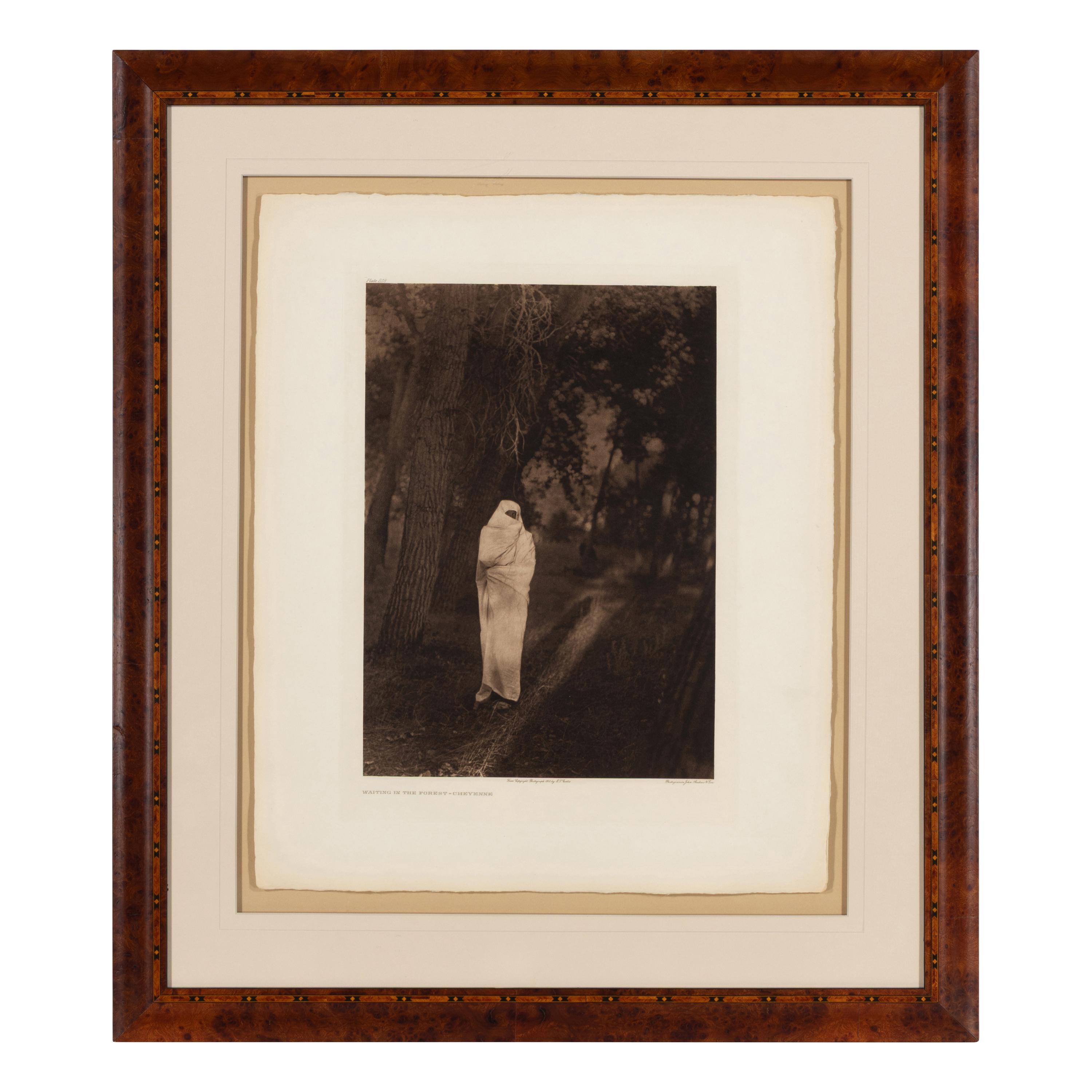 Waiting in the Forest – Cheyenne, Plate 218