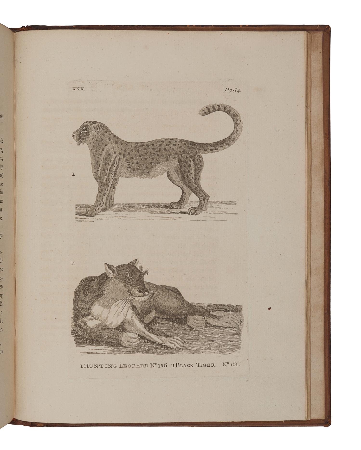 PENNANT, Thomas (1726-1798). History of Quadrupeds . London: B. White, 1781.
