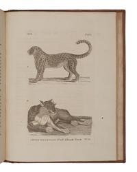 PENNANT, Thomas (1726-1798). History of Quadrupeds . London: B. White, 1781.