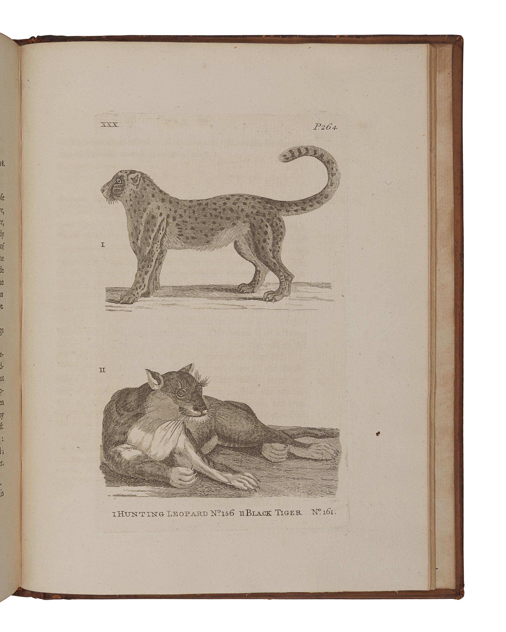 PENNANT, Thomas (1726-1798). History of Quadrupeds . London: B. White, 1781.