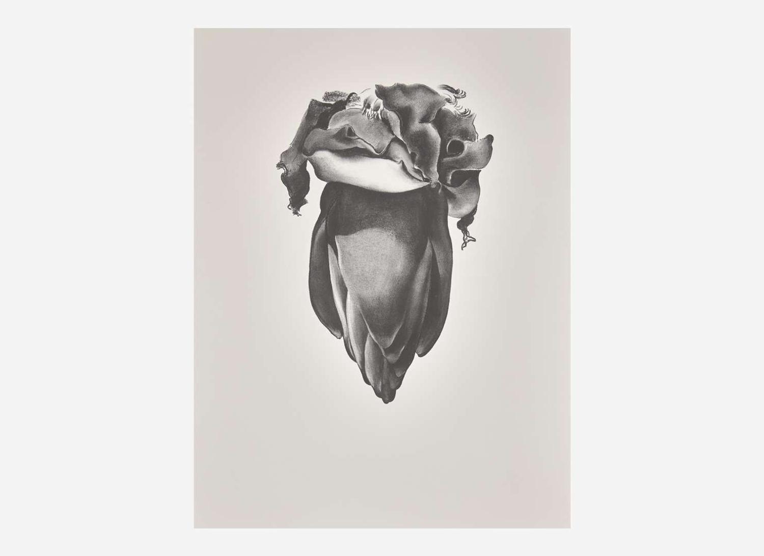 Georgia O'Keeffe (American, 1887-1986), Drawings - The Complete Set of Ten