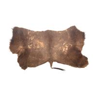 Plains Painted Buffalo Robe