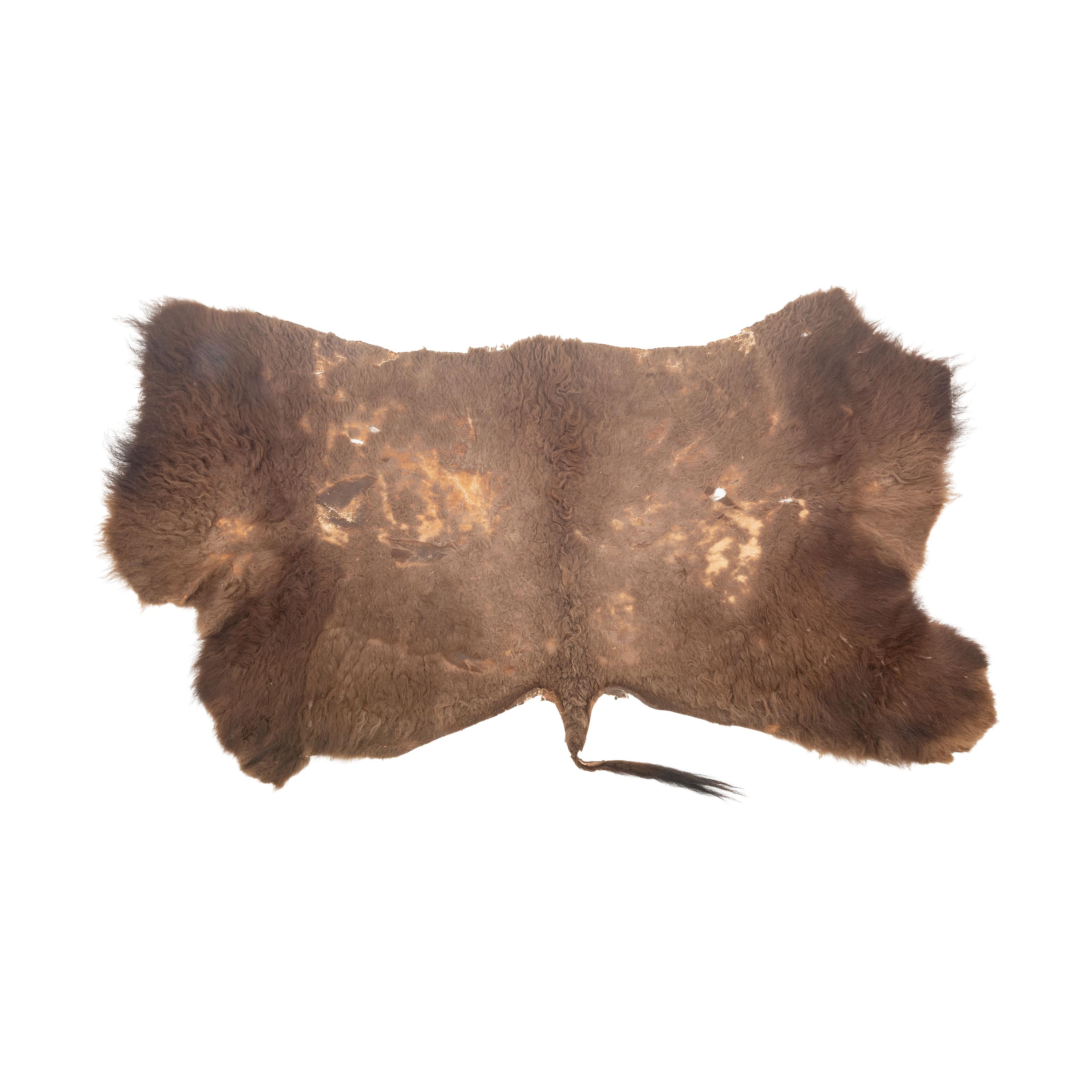 Plains Painted Buffalo Robe