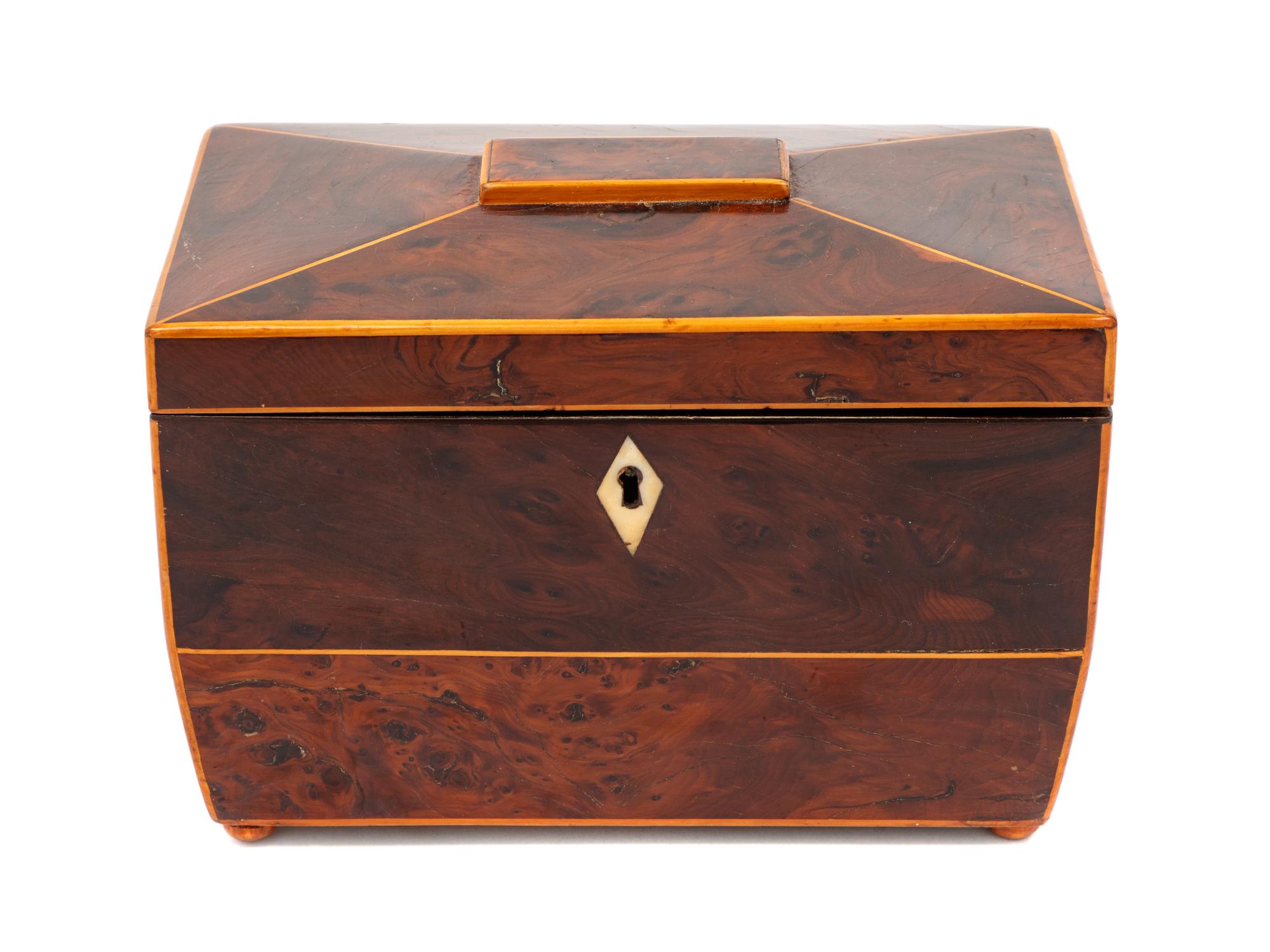 An English Burlwood Tea Caddy
