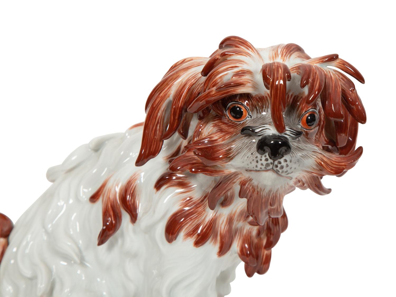A Meissen Porcelain Bolognese Dog