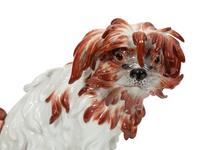 A Meissen Porcelain Bolognese Dog