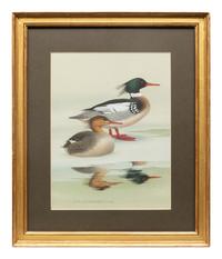 Group of Nine Works, American Bird Series, 1988