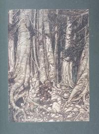(WEITZ-COLEMAN; RACKHAM, ARTHUR) IRVING, WASHINGTON. Rip Van Winkle. NY, 1905. Finely bound by Herbie Weitz.