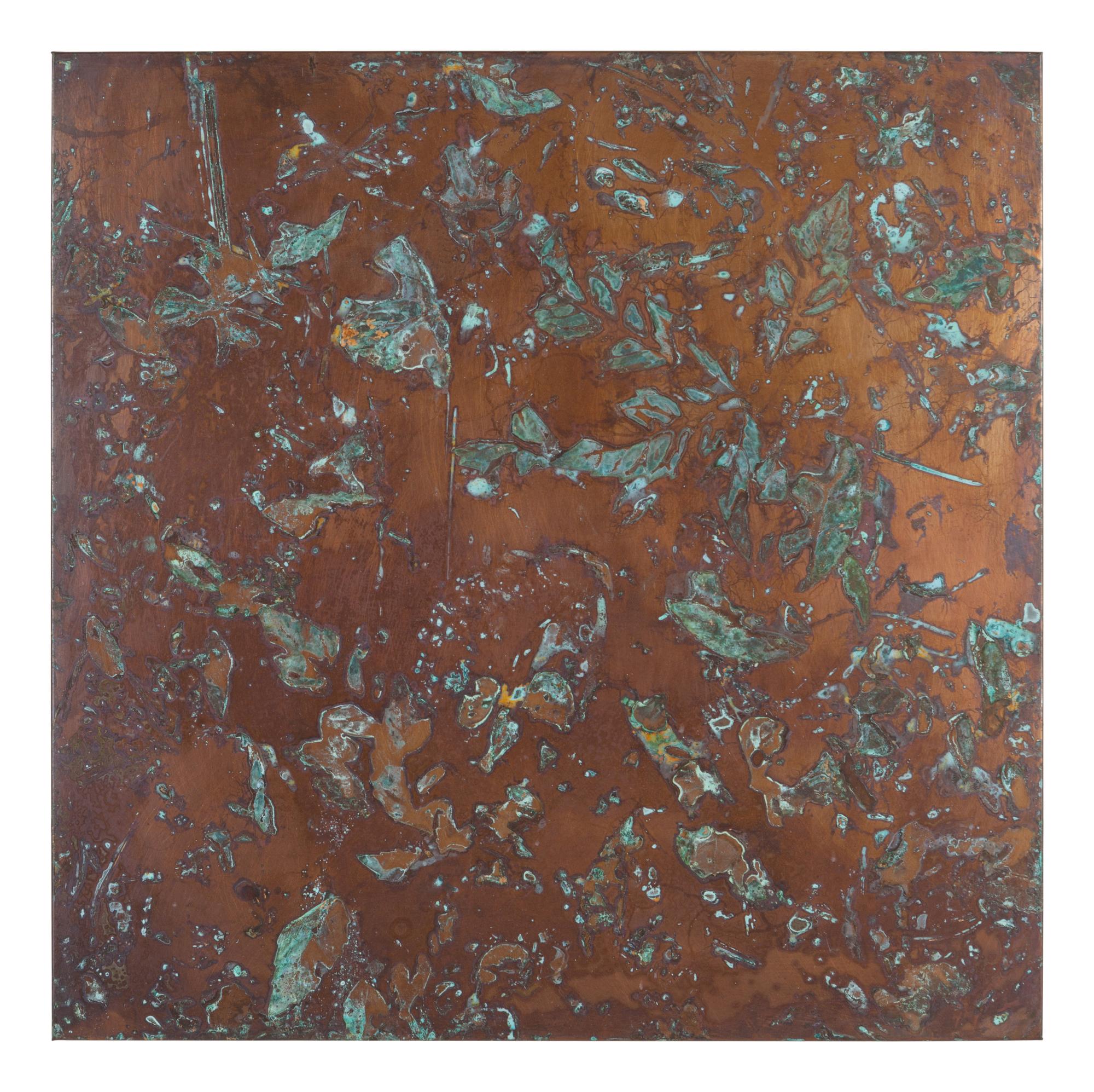 From Forest Mapping Series