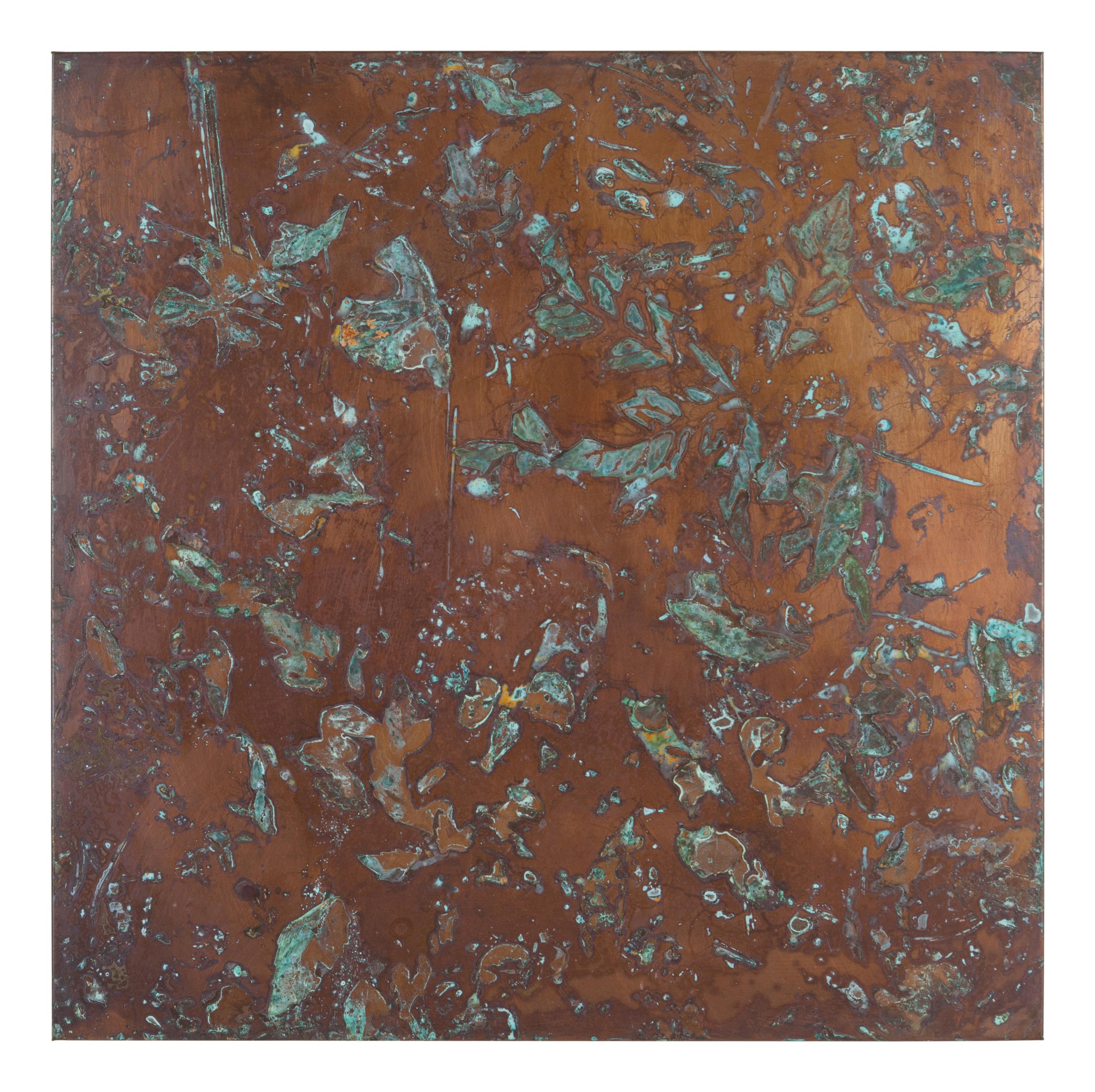 From Forest Mapping Series