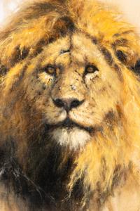 A Study of Lions