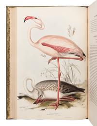 [NATURAL HISTORY]. GOULD, John (1804-1881). The Birds of Europe . London: Richard and John E. Taylor, [1832-] 1837.