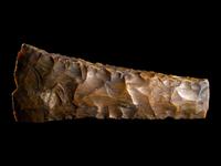 A Neolithic Flint Thick-Butted Axe