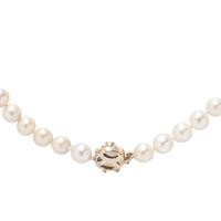 CULTURED PEARL, CONCH PEARL, AND SAPPHIRE NECKLACE