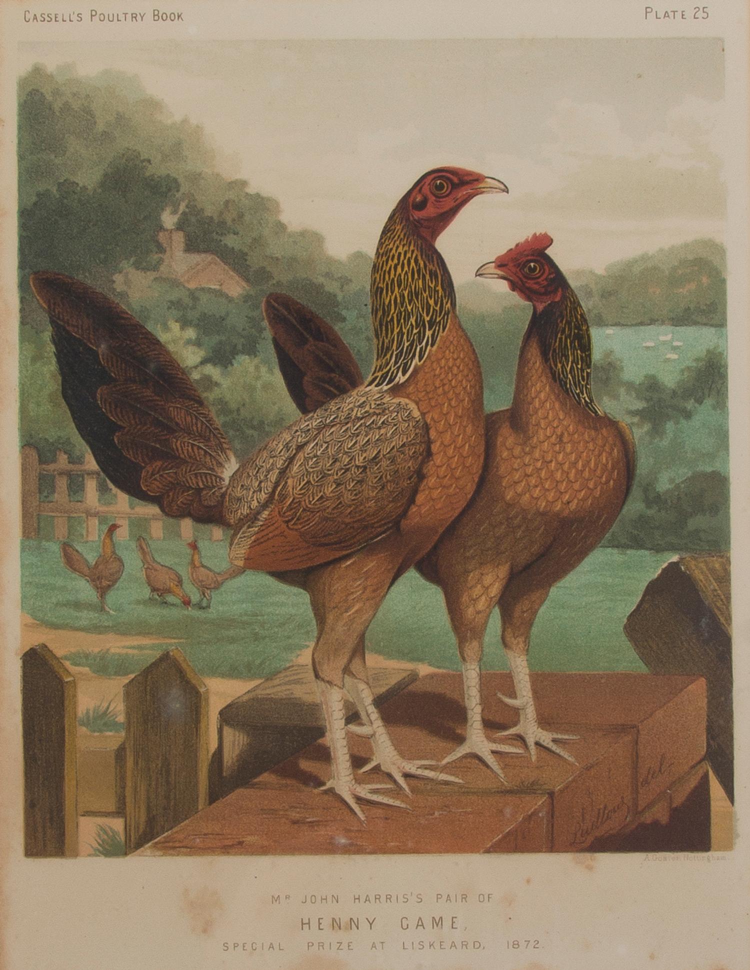 Twelve English Handcolored Engravings, Height of first 9 1/2 x width 7 1/8 inches (visible).
